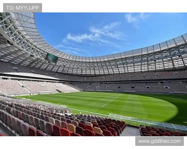 二零二六世界杯承办球场的草坪更换周期谈